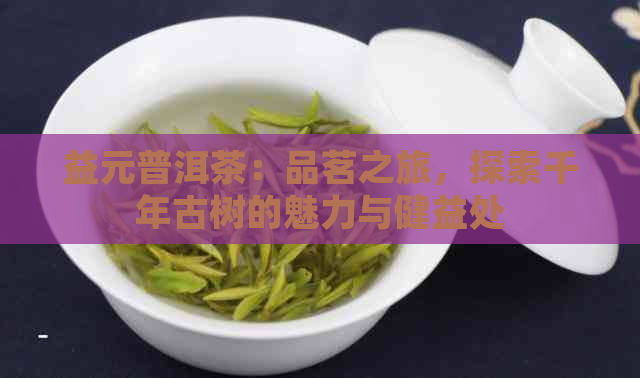 益元普洱茶：品茗之旅，探索千年古树的魅力与健益处