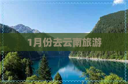 1月份去云南旅游