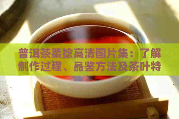 普洱茶柔捻高清图片集：了解制作过程、品鉴方法及茶叶特点的全方位指南