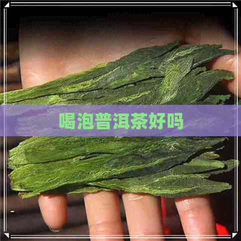 喝泡普洱茶好吗