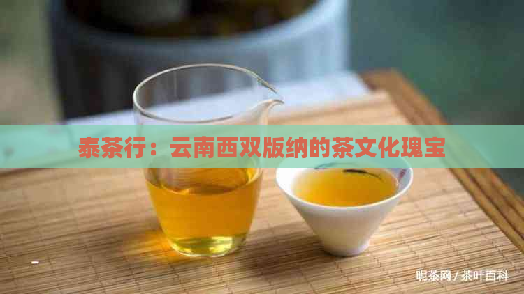 泰茶行：云南西双版纳的茶文化瑰宝