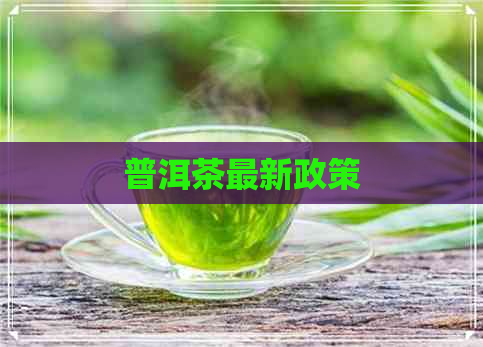 普洱茶最新政策