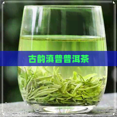 古韵滇普普洱茶