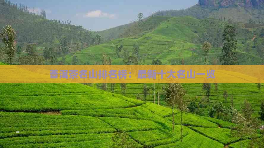 普洱茶名山排名榜：最新十大名山一览