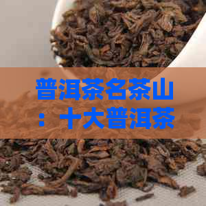 普洱茶名茶山：十大普洱茶山，探究它们的魅力所在。