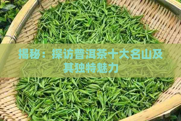 揭秘：探访普洱茶十大名山及其独特魅力