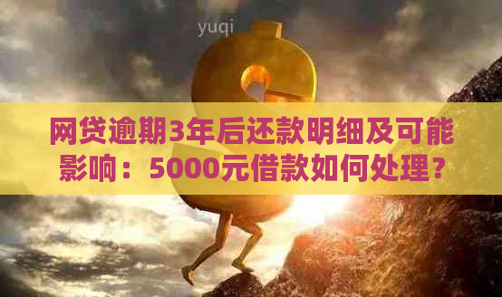 网贷逾期3年后还款明细及可能影响：5000元借款如何处理？