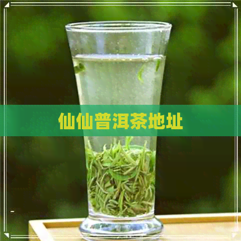 仙仙普洱茶地址