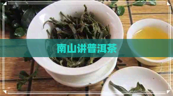 南山讲普洱茶