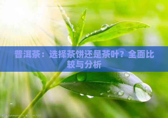 普洱茶：选择茶饼还是茶叶？全面比较与分析