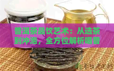 普洱茶品饮艺术：从选茶到冲泡，全方位解析喝普洱茶的正确方法与技巧