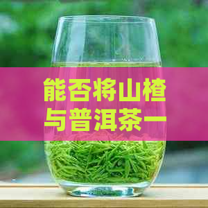 能否将山楂与普洱茶一同煮饮？探讨山楂与普洱茶的搭配使用及其效果