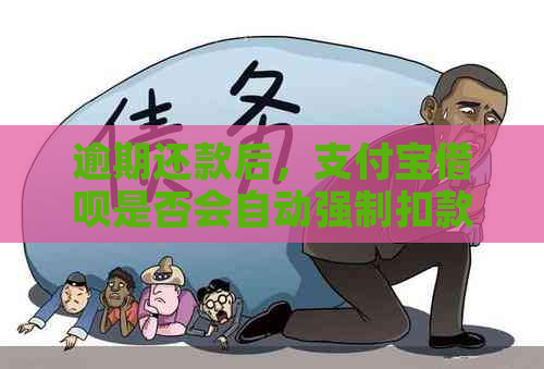 逾期还款后，支付宝借呗是否会自动强制扣款？用户银行卡安全受影响吗？