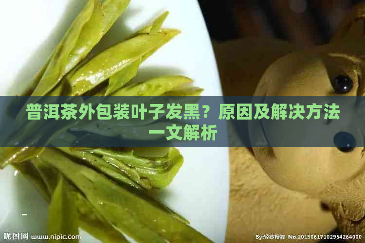 普洱茶外包装叶子发黑？原因及解决方法一文解析