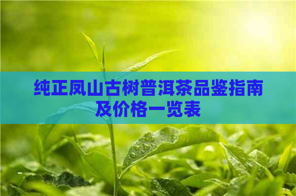 纯正凤山古树普洱茶品鉴指南及价格一览表