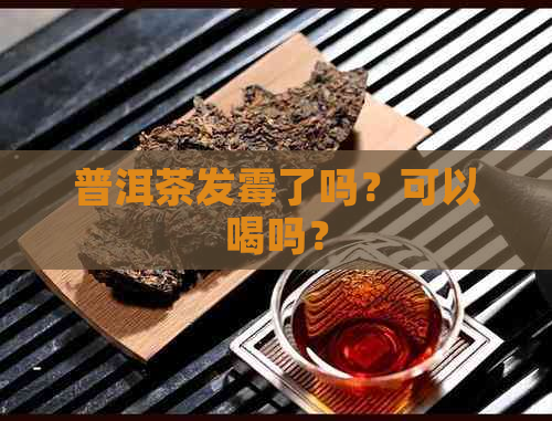 普洱茶发霉了吗？可以喝吗？