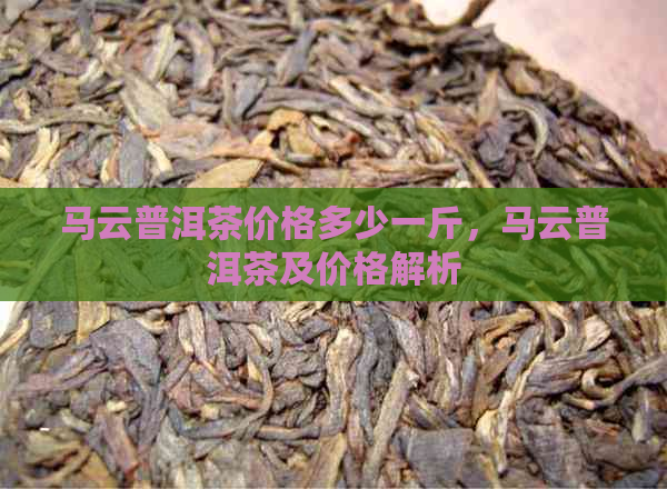 马云普洱茶价格多少一斤，马云普洱茶及价格解析