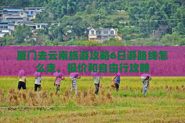 厦门去云南旅游攻略6日游路线怎么走，报价和自由行攻略