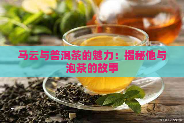 马云与普洱茶的魅力：揭秘他与泡茶的故事