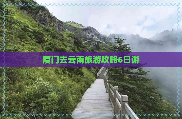 厦门去云南旅游攻略6日游