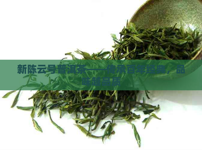 新陈云号普洱茶——传承百年经典，品味越品质