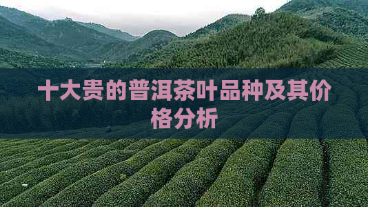 十大贵的普洱茶叶品种及其价格分析