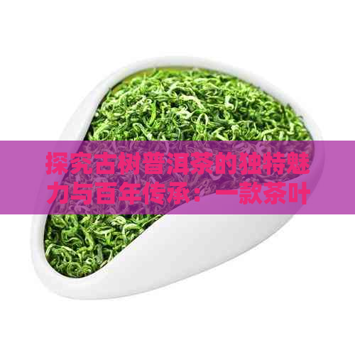 探究古树普洱茶的独特魅力与百年传承：一款茶叶的历、特点与品鉴