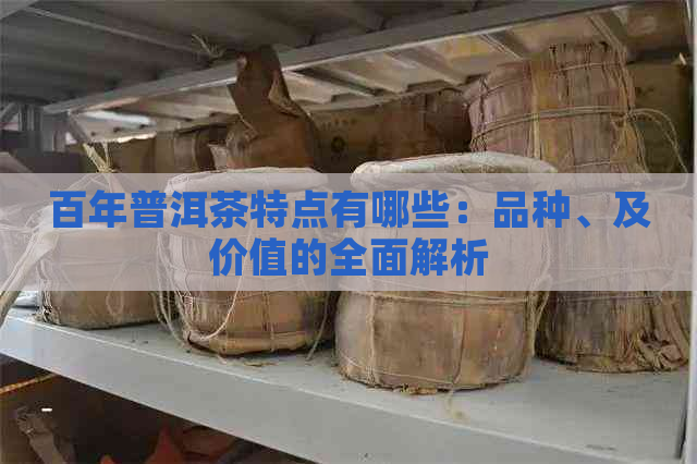 百年普洱茶特点有哪些：品种、及价值的全面解析