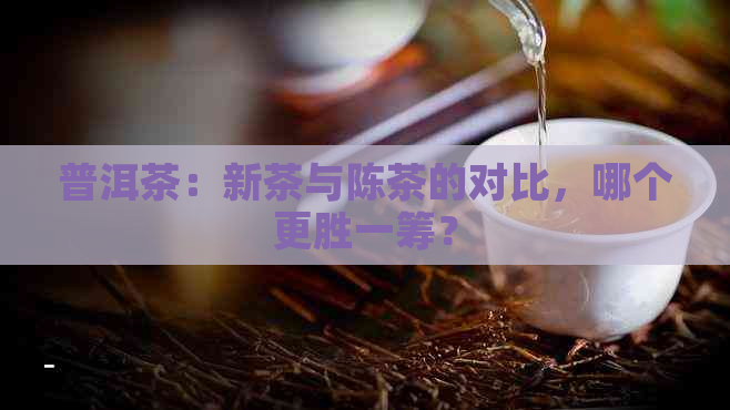 普洱茶：新茶与陈茶的对比，哪个更胜一筹？