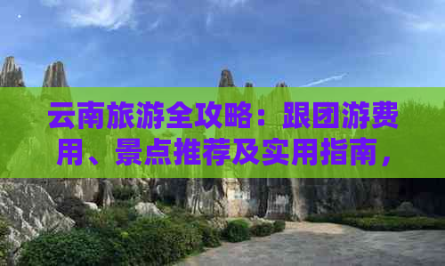 云南旅游全攻略：跟团游费用、景点推荐及实用指南，助您轻松规划完美之旅