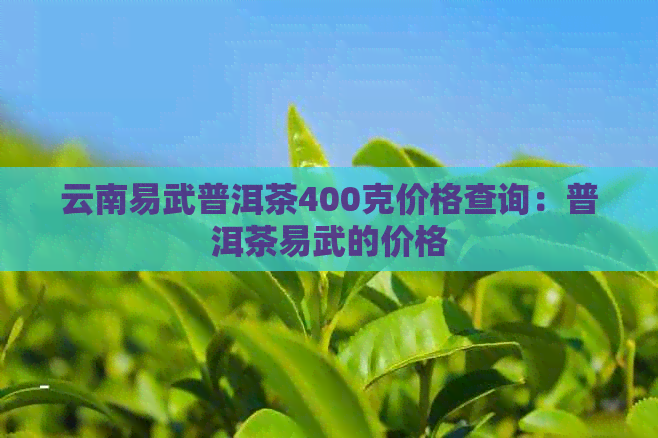 云南易武普洱茶400克价格查询：普洱茶易武的价格