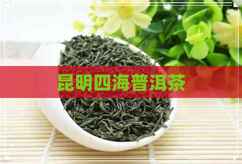 昆明四海普洱茶