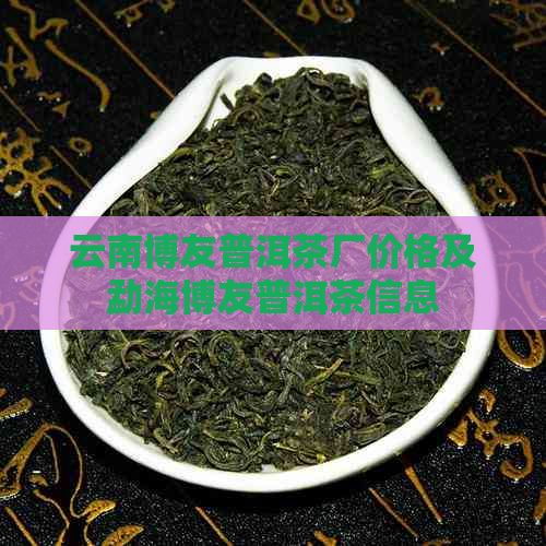 云南博友普洱茶厂价格及勐海博友普洱茶信息