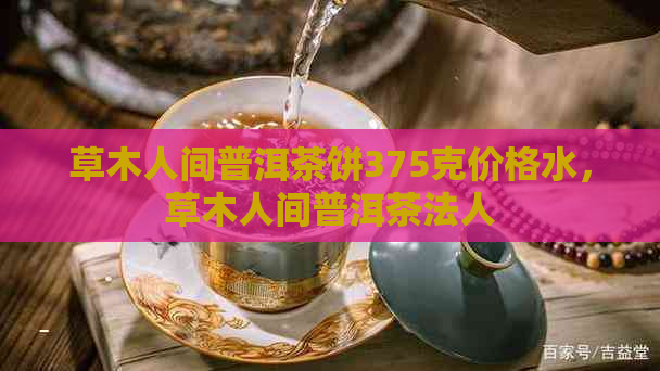 草木人间普洱茶饼375克价格水，草木人间普洱茶法人