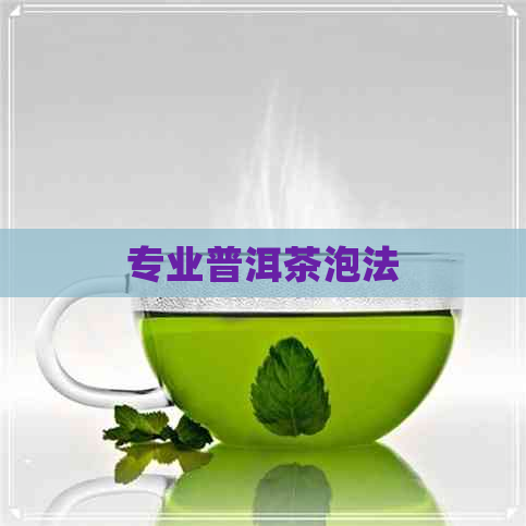 专业普洱茶泡法