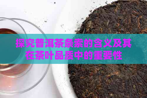 探究普洱茶条索的含义及其在茶叶品质中的重要性