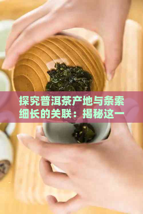 探究普洱茶产地与条索细长的关联：揭秘这一独特特点的成因