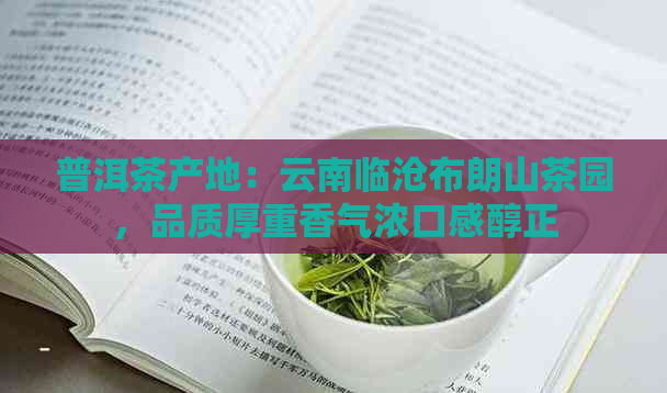 普洱茶产地：云南临沧布朗山茶园，品质厚重香气浓口感醇正