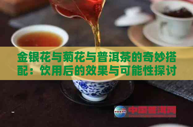 金银花与菊花与普洱茶的奇妙搭配：饮用后的效果与可能性探讨