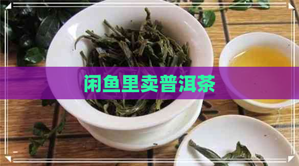 闲鱼里卖普洱茶