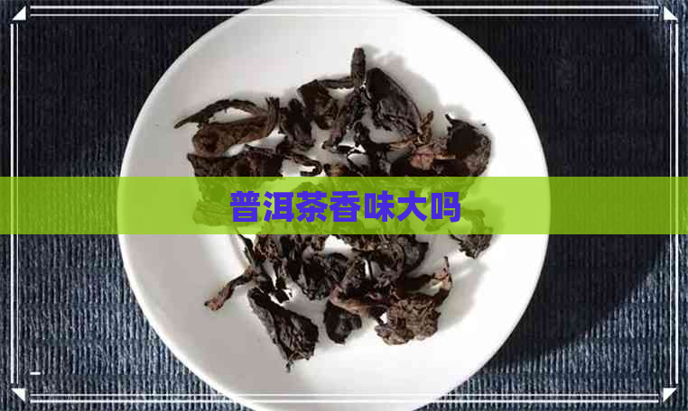 普洱茶香味大吗