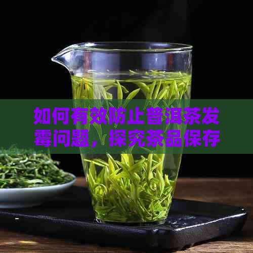 如何有效防止普洱茶发霉问题，探究茶品保存的关键技巧