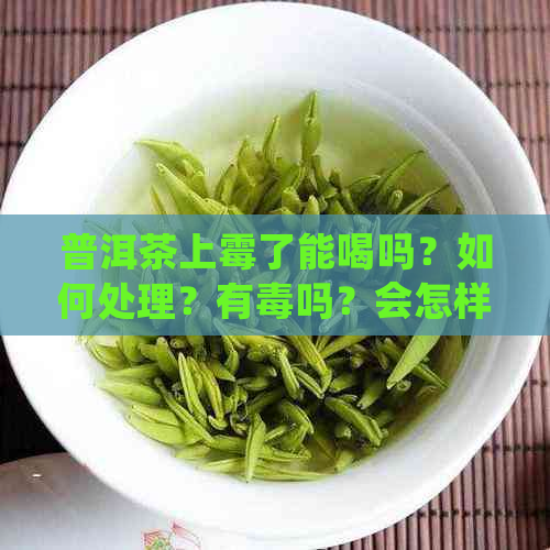 普洱茶上霉了能喝吗？如何处理？有吗？会怎样？