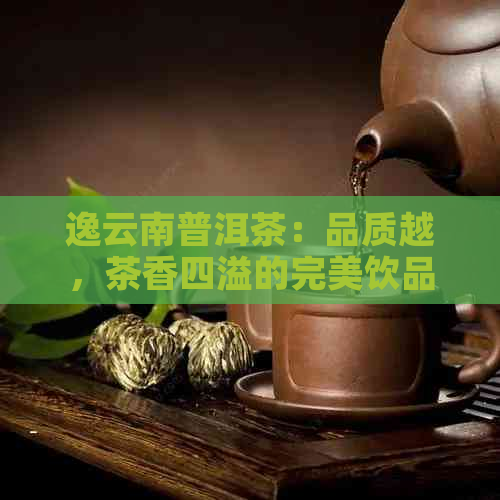 逸云南普洱茶：品质越，茶香四溢的完美饮品