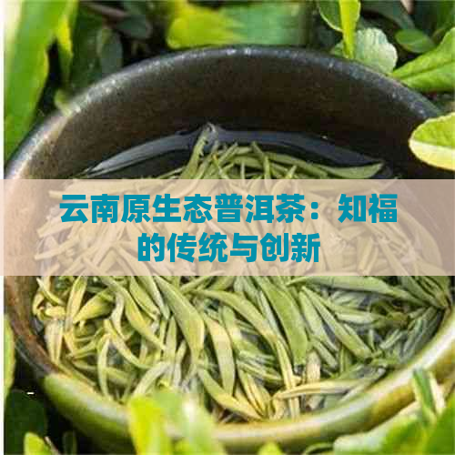 云南原生态普洱茶：知福的传统与创新