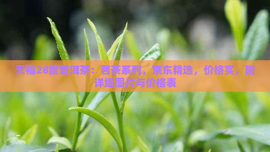 天福28度普洱茶：茗茶系列，京东精选，价格实，附详细图片与价格表