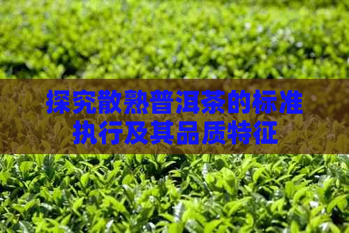 探究散熟普洱茶的标准执行及其品质特征