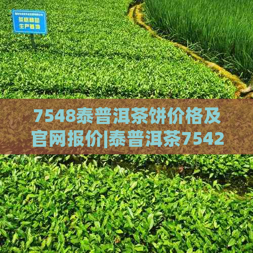 7548泰普洱茶饼价格及官网报价|泰普洱茶7542,7538,8582报价