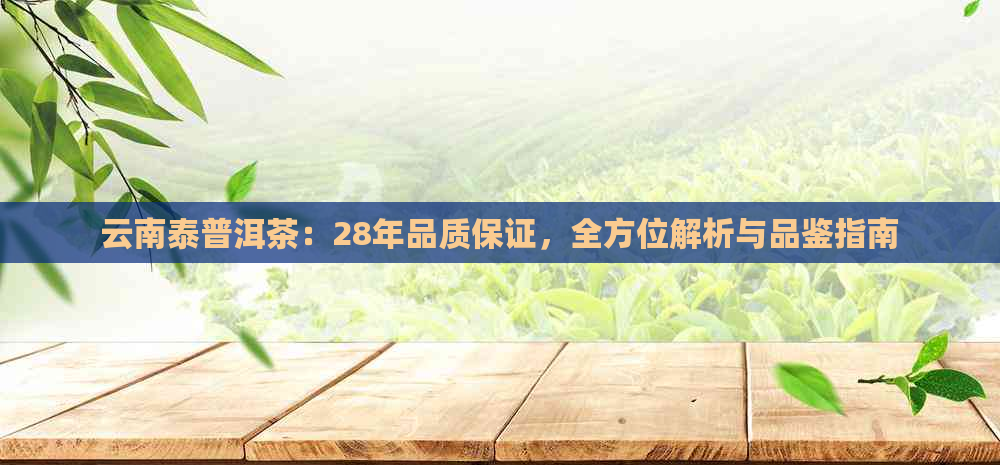 云南泰普洱茶：28年品质保证，全方位解析与品鉴指南