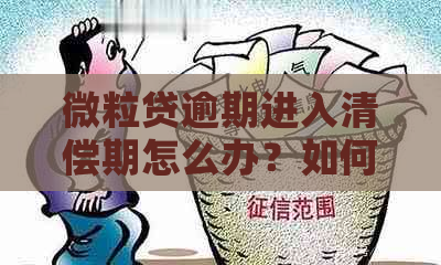 微粒贷逾期进入清偿期怎么办？如何解决并进行还款？